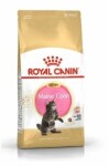 Royal Canin Maine Coon Kitten 4 kg