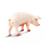 Safari Ltd. Safari Ltd. Figurka - Prasnice