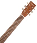 Tanglewood TW40 O AN E