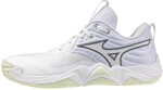 Volejbalová obuv Mizuno WAVE MOMENTUM ELITE V1GC251285 Velikost obuvi v EU: 38,5