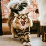 Nástěnný poznámkový kalendář 2026 NOTIQUE - Úsměv, prosím, 30 x 30 cm