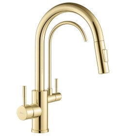 REA - Kuchyňská baterie Eco Fresh GOLD REA-B8989