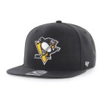 Pittsburgh Penguins No NHL