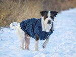 Argo zateplený svetr pro psa Barva: Vínová, Délka zad (cm): 21, Obvod hrudníku: 30 - 40 cm