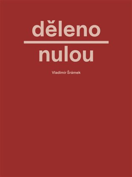 Děleno nulou - Vladimír Šrámek