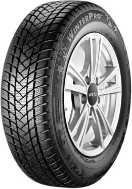 225/55 R16 99H XL WINTER PRO 2 EVO* M+S 3PMSF TL GT RADIAL