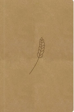 Bible, překlad 21. století (medová) - kapesní