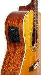 Tanglewood TW40 O AN E