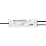 BIG WHITE (SLV) Můstkový LED driver 42 W, 500 mA pro NUMINOS®, včetně radiofrekvenčního rozhraní pro modul RF, DALI 1006459
