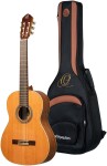 Ortega R20GWN-L
