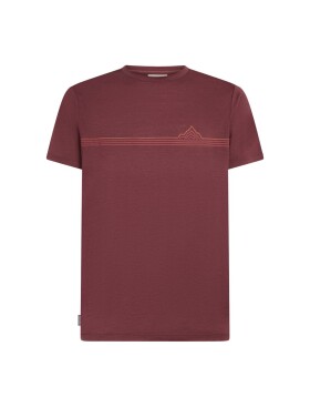 ICEBREAKER Mens Merino 150 Tech Lite SS Tee Range Stripes, Port velikost: S