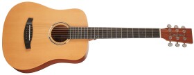 Tanglewood TWR2 T