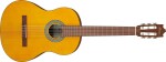 Ibanez GA3 Amber