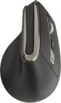 Vertikální bezdrátová myš Dual / Myš / 2,4 GHz / Bluetooth 5.0 / Bluetooth 3.0 / dobíjecí baterie (YMS 5040 ERGO PRO)