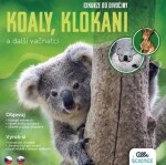 Exkurze do divočiny Koaly, klokani další vačnatci