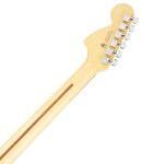 Fender American Professional II Telecaster DLX RW MERC