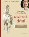 Anatomie biomechanika sestavení ohnutí