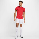 Tričko Nike Academy 25 SS Top M FZ9754 657 pánské s