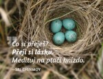 Magnet na lednici - Co si přeješ? Přeji si lásku. Medituj na ptačí hnízdo. - Sri Chinmoy