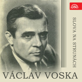 Slova na strunách - Paul Verlaine - audiokniha
