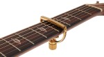 G7th Heritage 2 Guitar Wide Gold