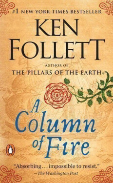 A Column of Fire - Ken Follett
