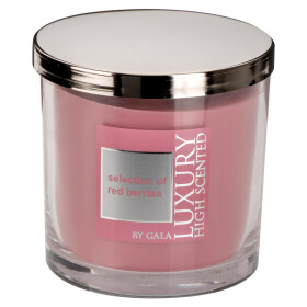 Vonná svíčka Selection of Red Berries 2-knotová ve skle Lyon s kovovým víkem Gala kerzen Vonná svíčka Selection of Red Berries 2-knotová ve skle Lyon s kovovým víkem Gala kerzen