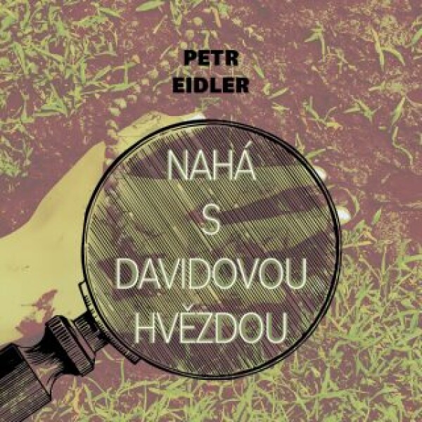 Nahá s Davidovou hvězdou - Petr Eidler - audiokniha