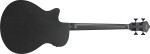 Ibanez AEGB420 BOT