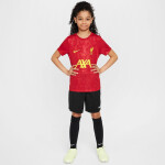 Tričko Nike Liverpool FC Academy Pro SS Top Jr FQ0013-688 L (147-158)