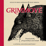 Grimmové - Kenneth Břgh Andersen