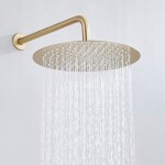 REA - Dešťová sprcha Gold Brush 25cm REA-P0502