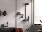 HANSGROHE - WallStoris Háček, matná černá 27914670