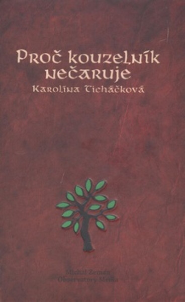Proč kouzelník nečaruje