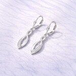 Stříbrné visací náušnice se zirkony Lina - stříbro 925/1000, Stříbrná