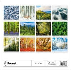 Kalendář nástěnný 2027 - Forest/Wald/Les
