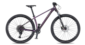 4EVER YOGA PURPLE LADY 29" rám 2024, purple/hologram