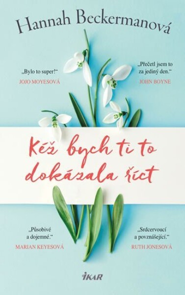 Kéž bych ti to dokázala říct - Hannah Beckerman