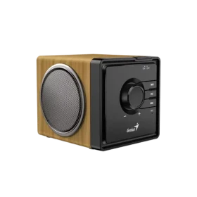 Genius SP-916BT Borovicové dřevo / Repro / Bluetooth 5.3 / 6W / USB-C (31730057400)