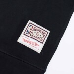 Mitchell & Ness Pánská mikina Toronto Raptors NBA Cropped Logo Hoodie Velikost: XL