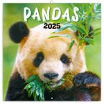 Poznámkový kalendář Pandy 2025, 30 30 cm