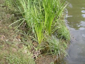 Kokosový válec na zachytávání splachu půdy – Coir Log 2020 EKO - ø 20 cm, délka 4 m