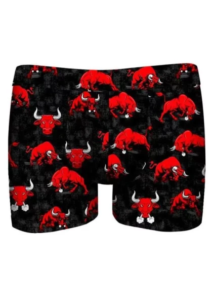 Pánské boxerky John Frank JFBDH701-BULLS