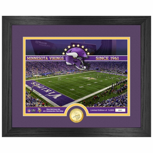 Obraz Minnesota Vikings NFL Team Stadium Bronze Coin