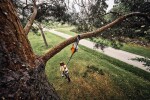 Aku teleskopická vyvětvovací pila STIHL HTA 160