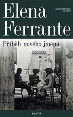 Geniální přítelkyně 2 - Příběh nového jména - Elena Ferrante