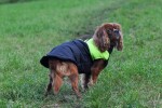 Slim-rainy obleček pro psa na zip Barva: Černo-červená, Délka zad (cm): 51, Obvod hrudníku: 74 - 80 cm