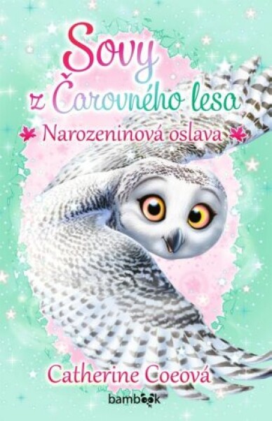 Sovy z Čarovného lesa - Narozeninová oslava - Catherine Coeová - e-kniha