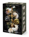 Déšť stínů a konců - Melissa K. Roehrich