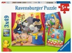 Ravensburger Zvířecí umělci na pódiu